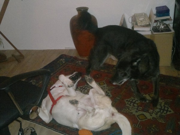 med_Auf gehts.jpg (600 x 450)